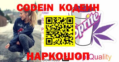 МДПВ Татарск