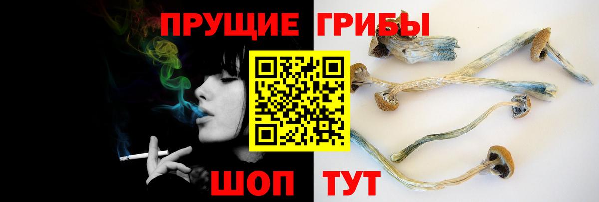 Галлюциногенные грибы мухоморы  Вход с VPN  Прохладный 